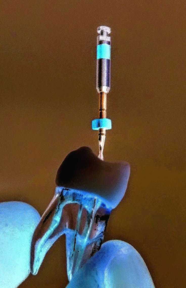 Emergency Department